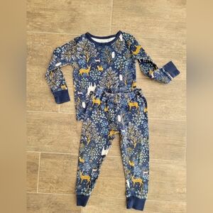 2T jammies